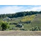 Search_Ruin and an agricultural accessory for sale in Le Marche_15